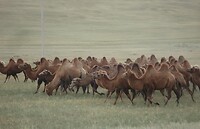 DSC09055 (2)