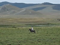 DSC09181 (2)