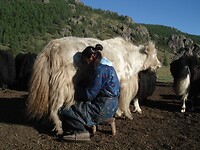 DSC09257