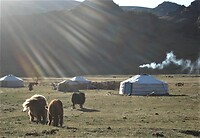 DSC09261 (2)