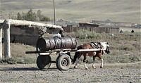 DSC09356 (2)