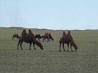 DSC09454