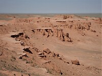 DSC09501 (2)