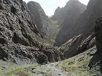 DSC09540 (2)