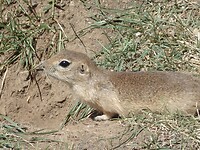 DSC09567