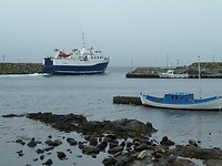 P1000198