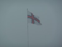 P1000294