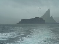 P1000317
