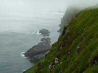 P1000351