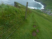 P1000601