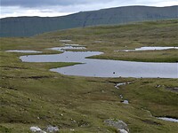 P1010006