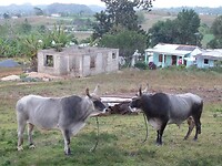 P1030507