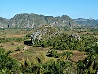P1030519