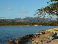 P1030619