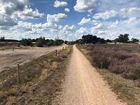 Groote Heide
