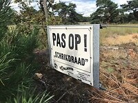 schrikdraad