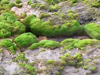 P1080924