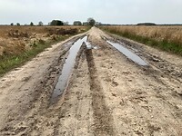 IMG-3637
