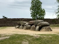 IMG-3695