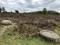 IMG-3696
