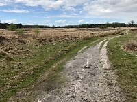 IMG-3699
