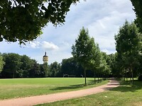 IMG-4061