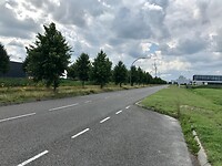 IMG-4313