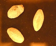 P1230183
