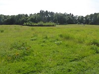 P1230165