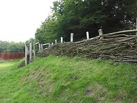 P1230168