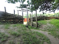 P1230169
