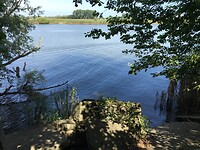 IMG_4496