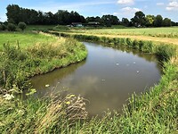 IMG_4501