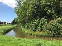IMG_4502