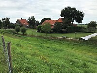 IMG-4370.JPG