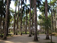 IMG_4959