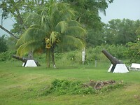 P1190343