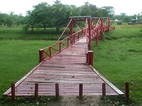 P1190346