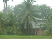 P1190352