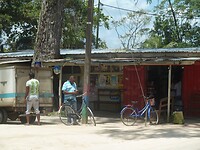P1190721