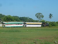 P1190932