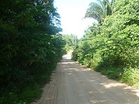 P1190943