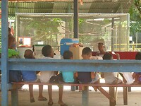 P1200020
