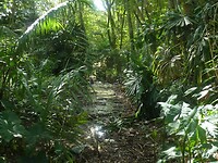 P1200043