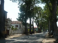P1200063