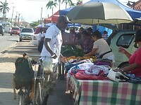 P1200077