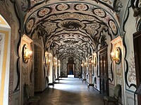 IMG_7185