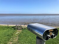 IMG_8021