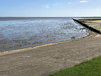 IMG_8022
