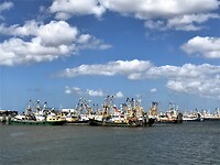 IMG_8077